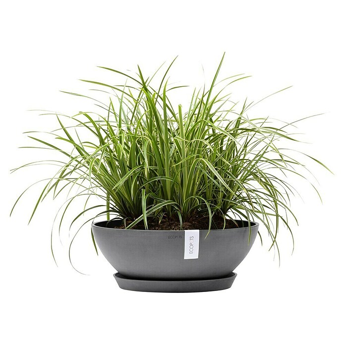 Ecopots Pflanzschale Vienna (Außenmaß (Ø x H): 50,4 x 18,5 cm, Grau) | BAUHAUS