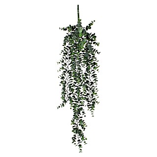 Kunstpflanze Eukalyptus (Höhe: 78 cm, Grün, Kunststoff)