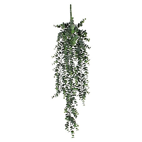 Kunstpflanze Eukalyptus (Höhe: 78 cm, Grün, Kunststoff)