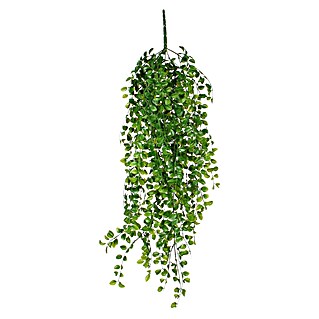 Kunstpflanze Fikus (Höhe: 81 cm, Grün, Kunststoff)