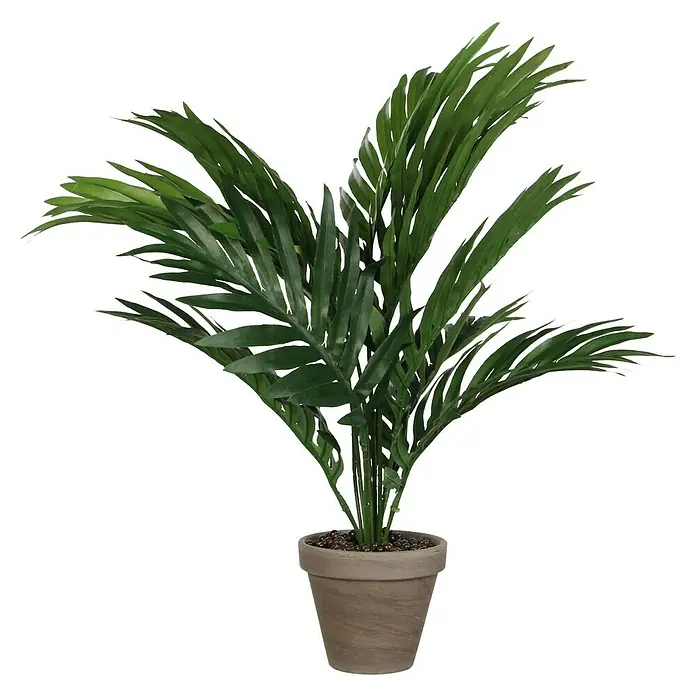 Kunstpflanze Areca Palme - Höhe: 45 cm, Grün, Kunststoff - Zimmerpflanze: Eine üppige Areca-Palme im Topf, die mit ihren grünen Blättern Frische und tropisches Flair in jeden Raum bringt.