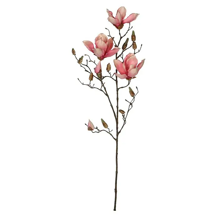 Kunstblume Magnolie - Höhe: 88 cm, Rot, Kunststoff - Nahaufnahme eines künstlichen Magnolienzweigs mit zarten rosa Blüten und Knospen, ideal für eine elegante Innendekoration.