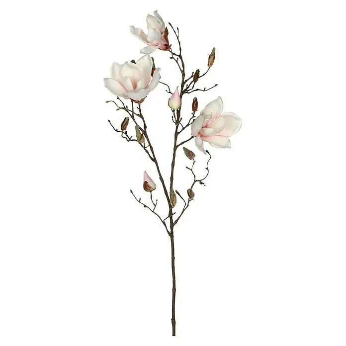 Kunstblume Magnolie - Höhe: 88 cm, Rosa, Kunststoff - Eine elegante Magnolienblüte in zarten Rosa- und Weißtönen mit braunen Ästen, die eine anmutige und natürliche Dekoration darstellt.