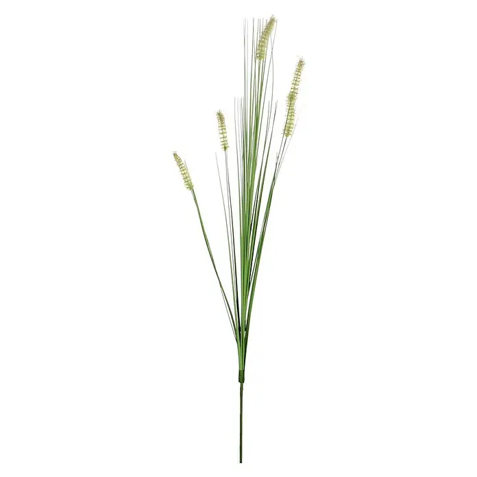 Kunstpflanze Dogtail Gras - Höhe: 84 cm, Grün, Kunststoff - Nahaufnahme eines Bündels Ziergräser mit grünen Stielen und cremefarbenen Blütenständen vor schwarzem Hintergrund.