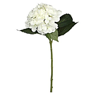 Kunstblume Hortensie (Höhe: 51 cm, Blanca, Kunststoff)