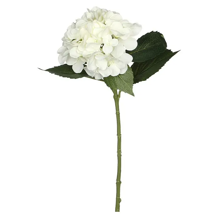 Kunstblume Hortensie - Höhe: 51 cm, Blanca, Kunststoff - Nahaufnahme einer einzelnen weißen Hortensienblüte mit grünen Blättern und Stiel vor einem schwarzen Hintergrund.