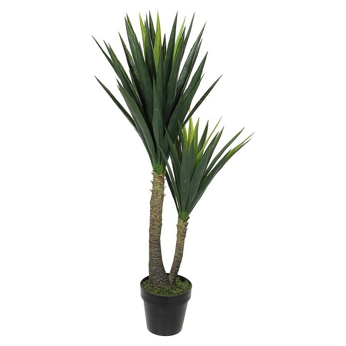 YUCCA IM TOPF     GRUEN D60H120CM