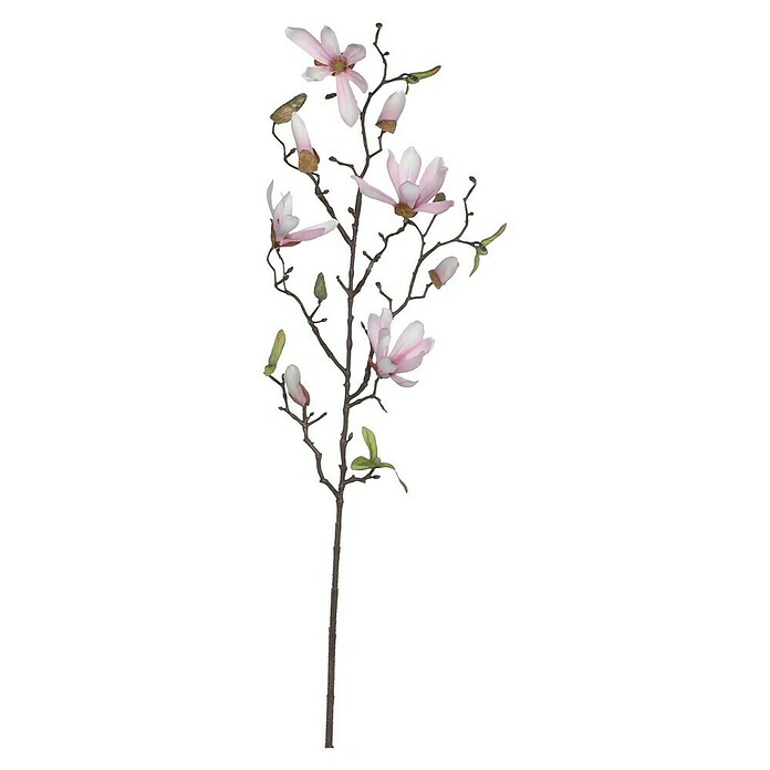 Kunstblume Magnolia (Höhe: 75 cm, Rosa, Kunststoff) | BAUHAUS