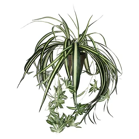 Kunstpflanze Chlorophytum