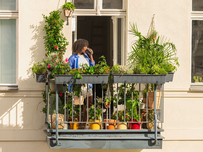 Pflanzen am Balkon 