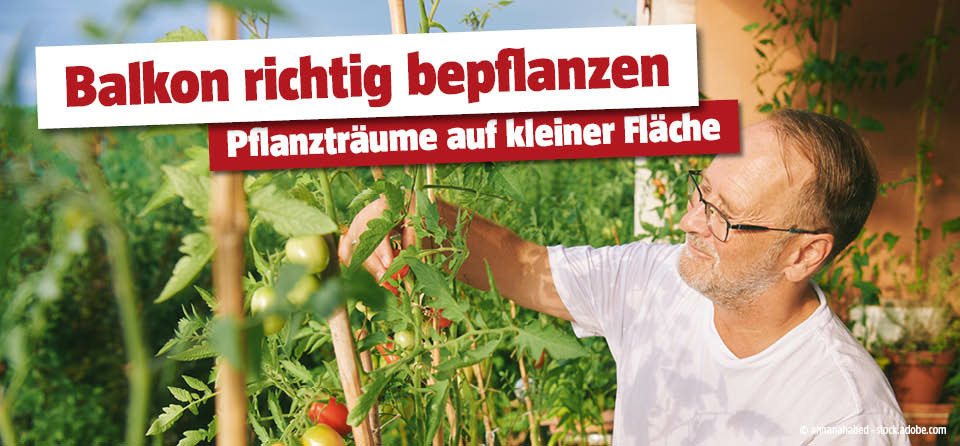 Mädchen und Mann bepflanzen am Balkon ein Gefäß und sind umgeben von vielen Grünpflanzen. Titel Balkon richtig bepflanzen