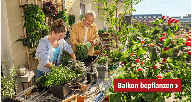 Mädchen und Mann bepflanzen am Balkon ein Gefäß und sind umgeben von vielen Grünpflanzen
