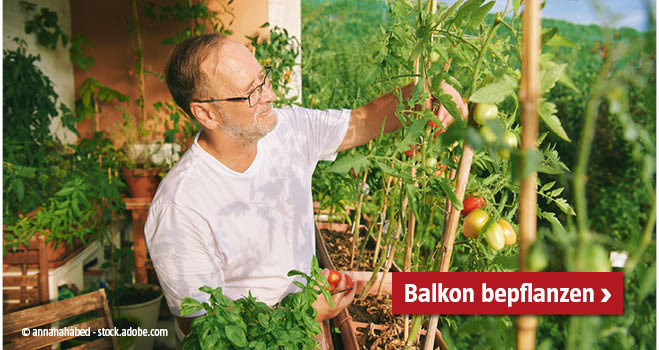 Mädchen und Mann bepflanzen am Balkon ein Gefäß und sind umgeben von vielen Grünpflanzen