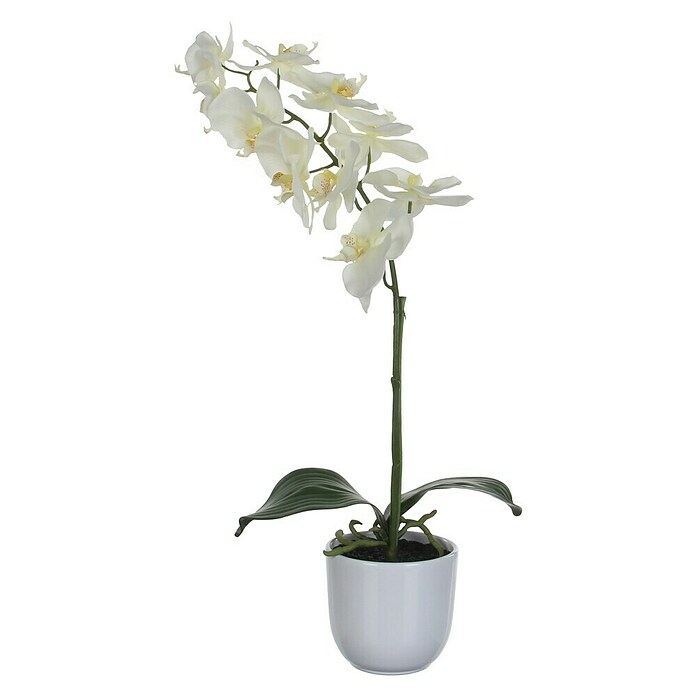 Kunstblume Phalaenopsis (Höhe: 60 cm, Weiß, Kunststoff) | BAUHAUS