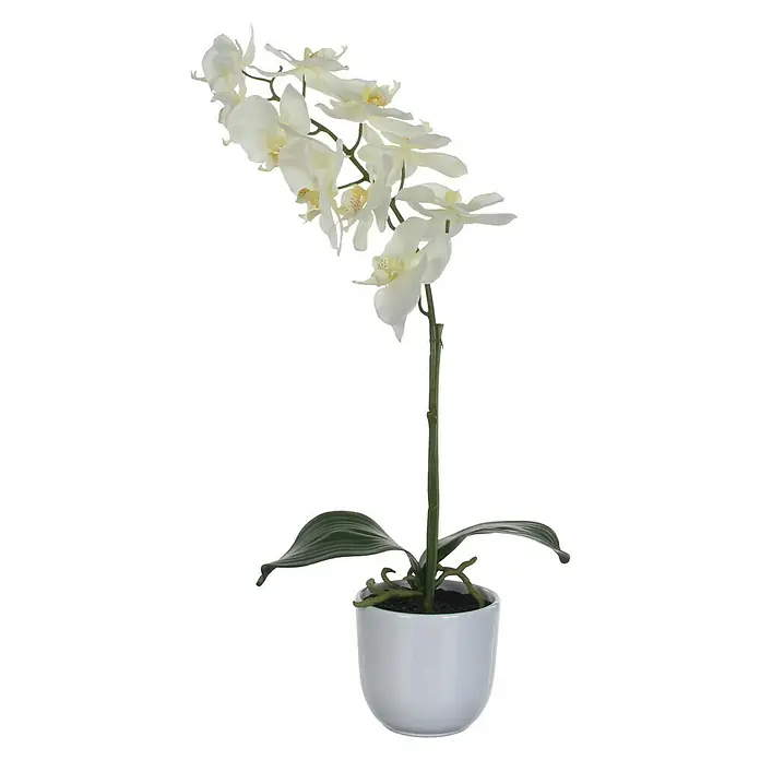 Kunstblume Phalaenopsis - Höhe: 60 cm, Weiß, Kunststoff - Elegante künstliche Orchidee in Weiß, perfekt als dauerhafte Dekoration für jeden Raum. Natürliches Aussehen und pflegeleicht.