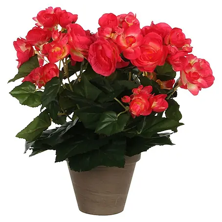 Kunstblume Begonia