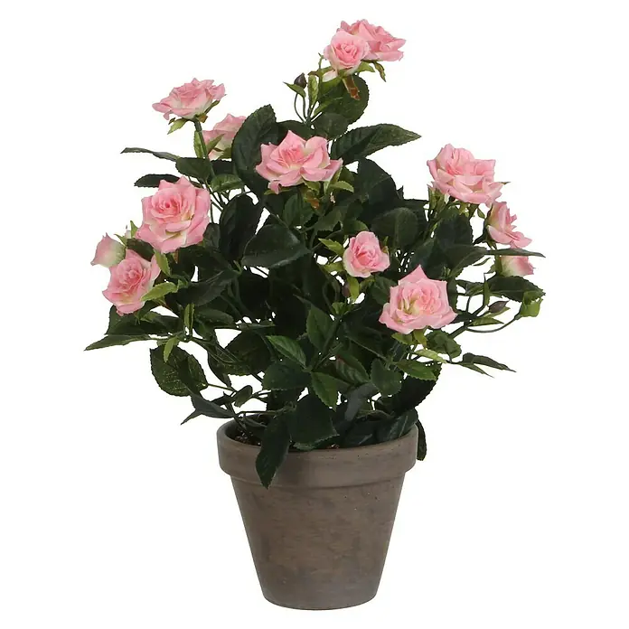 Kunstblume Rosenstrauch - Höhe: 33 cm, Rosa, Kunststoff - Eine Kunstpflanze im Topf zeigt eine üppige Ansammlung zartrosa Rosenblüten und dunkler Blätter, die eine natürliche Ausstrahlung erzeugen.
