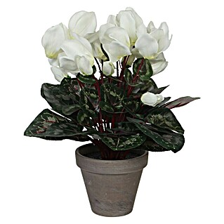 Kunstpflanze (Höhe: 30 cm, Weiß, Kunststoff)