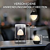 MegaLight Akku-Lampe Ovo Smoke (14,5 x 14,5 x 25 cm, 400 lm, RGBW) | BAUHAUS