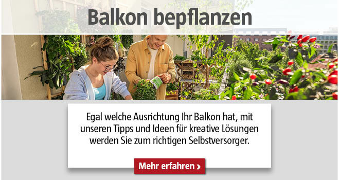 Balkon bepflanzen