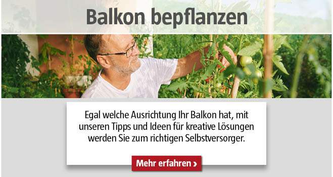 Balkon bepflanzen