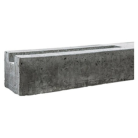 Beckers Betonzaun Zaunpfosten Standard (11 x 11 x 248 cm, Betongrau, Beton, Anfangspfosten)
