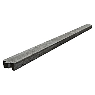 Beckers Betonzaun Abschlussleiste Standard (L x B x H: 197,5 x 6 x 11 cm)