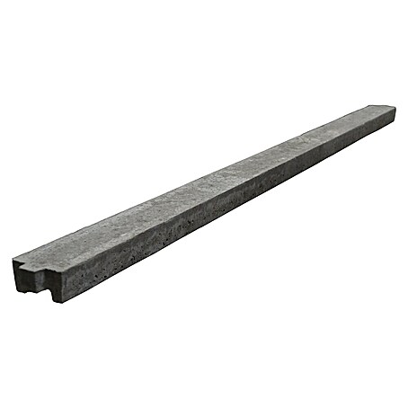 Beckers Betonzaun Zaunabschlussleiste Standard (L x B x H: 197,5 x 6 x 11 cm)