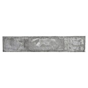 Beckers Betonzaun Zaunelement Standard glatte Platte (200 x 38,5 cm, Beton, Betongrau) | BAUHAUS