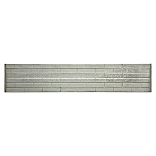 Beckers Betonzaun Zaunelement Standard Stein glatt (200 x 38,5 cm, Beton, Betongrau)