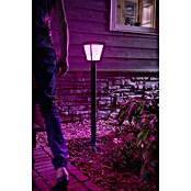 Philips Hue LED-Außenwegleuchte White & Color Ambiance Econic (1-flammig, 15 W, Lichtfarbe: Bunt, IP44)
