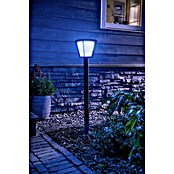 Philips Hue LED-Außenwegleuchte White & Color Ambiance Econic (1-flammig, 15 W, Lichtfarbe: Bunt, IP44)