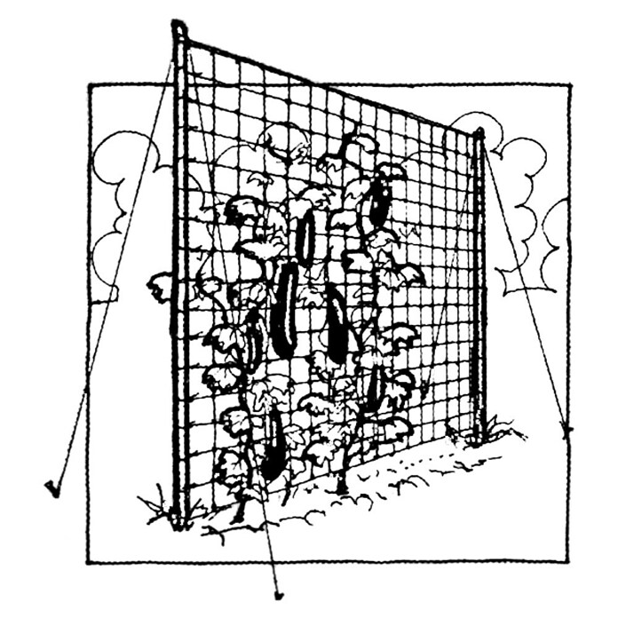 Windhager Rankhilfe (L x B: 2 x 5 m, Kunststoff, Grün)