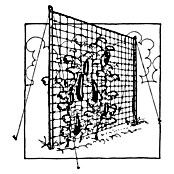 Windhager Rankhilfe (L x B: 2 x 5 m, Kunststoff, Grün)