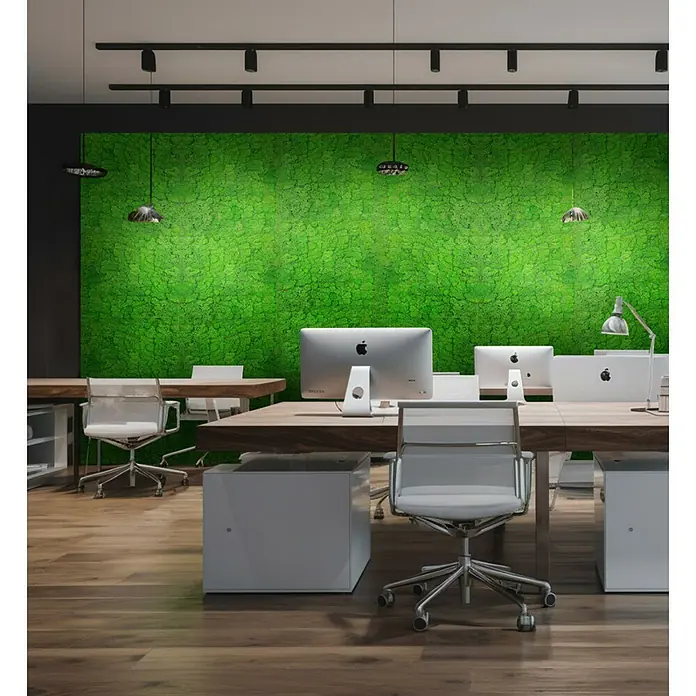 Jangal Wandpaneel Modular Wall Moos - Rich Green, 520 x 520 x 30 mm - Büro mit Holzböden, großem Mooswandbild, Computern und weißen Bürostühlen, akzentuiert das natürliche Element im Arbeitsraum.