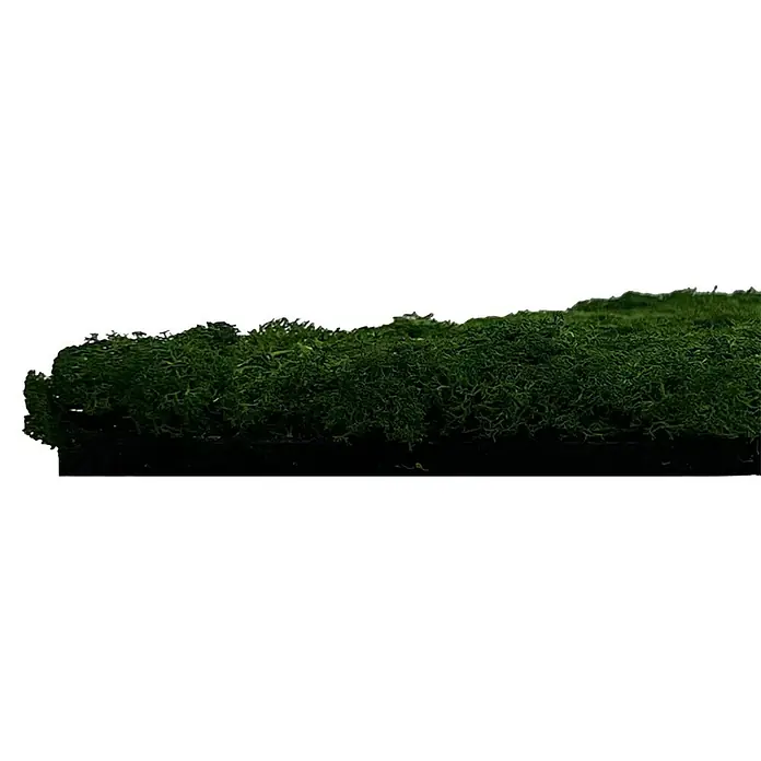 Jangal Wandpaneel Modular Wall Moos - Dark Green, 520 x 520 x 30 mm - Nahaufnahme eines dekorativen Moosstücks, ideal für natürliche Akzente in Innenräumen und zur Gestaltung von Grünflächen.