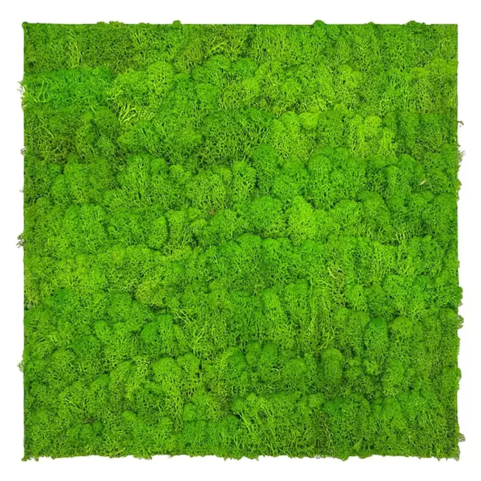 Jangal Wandpaneel Modular Wall Moos - Bright Green, 520 x 520 x 30 mm - Quadratisches Paneel aus leuchtend grünem konserviertem Moos mit üppiger, natürlicher Textur.