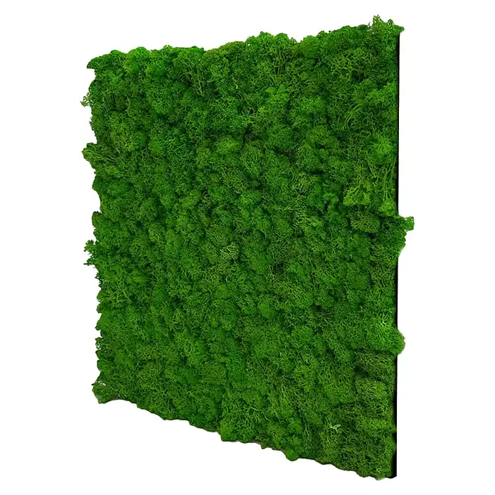 Jangal Wandpaneel Modular Wall Moos - Rich Green, 520 x 520 x 30 mm - Grünes konserviertes Moospaneel für Wanddekoration.