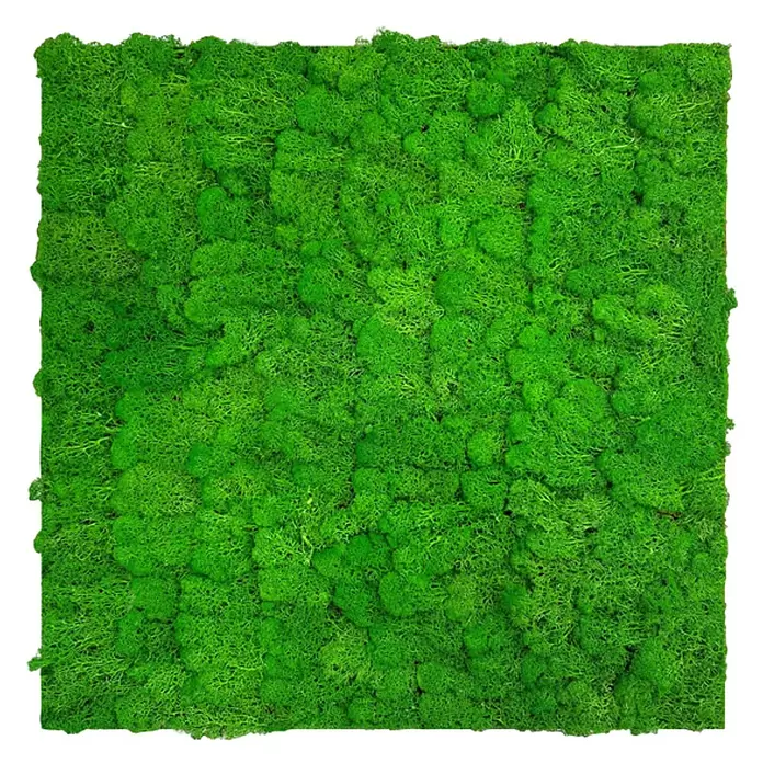 Jangal Wandpaneel Modular Wall Moos - Rich Green, 520 x 520 x 30 mm - Quadratisches Paneel aus leuchtend grünem konserviertem Moos.