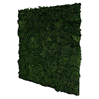 Jangal Wandpaneel Modular Wall Moos (Dark Green, 520 x 520 x 30 mm)