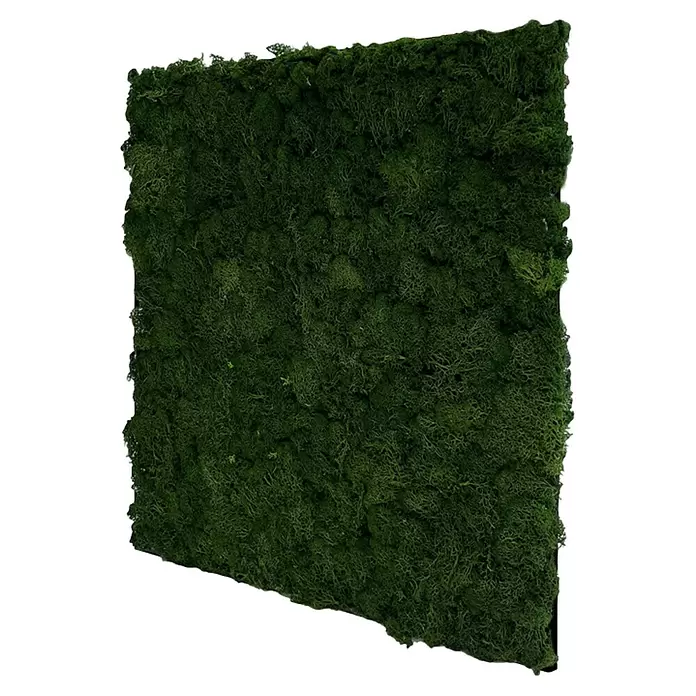Jangal Wandpaneel Modular Wall Moos - Dark Green, 520 x 520 x 30 mm - Rechteckiges Paneel aus konserviertem dunkelgrünem Moos für die Innenwanddekoration.