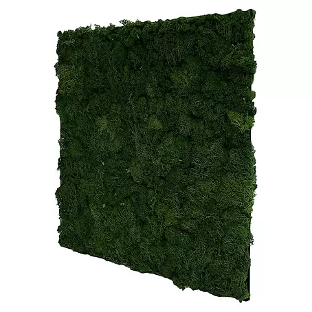 Jangal  Wandpaneel Modular Wall Moos