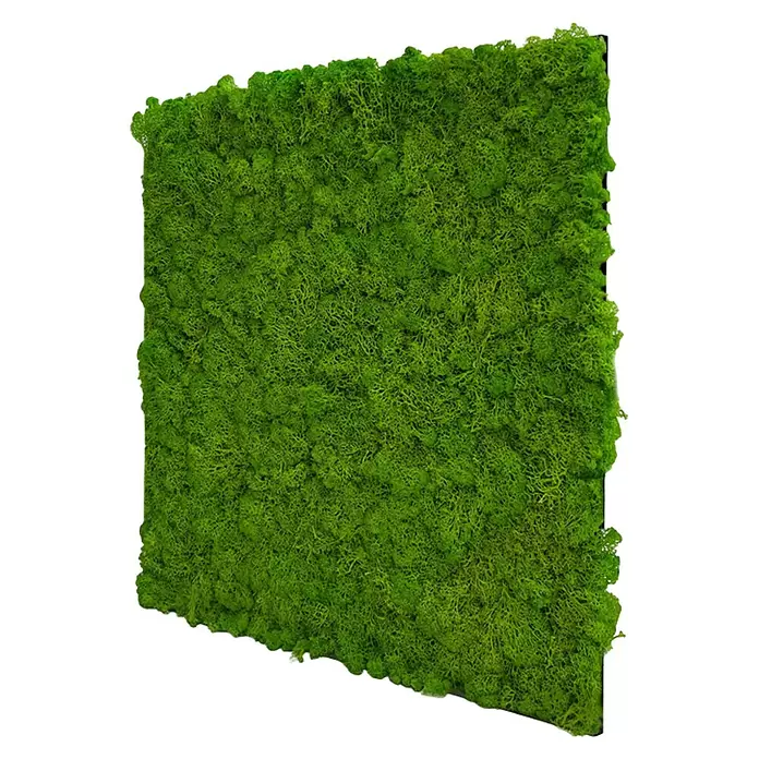 Jangal Wandpaneel Modular Wall Moos - Bright Green, 520 x 520 x 30 mm - Rechteckige Platte aus leuchtend grünem konserviertem Moos, für die Wanddekoration innen.