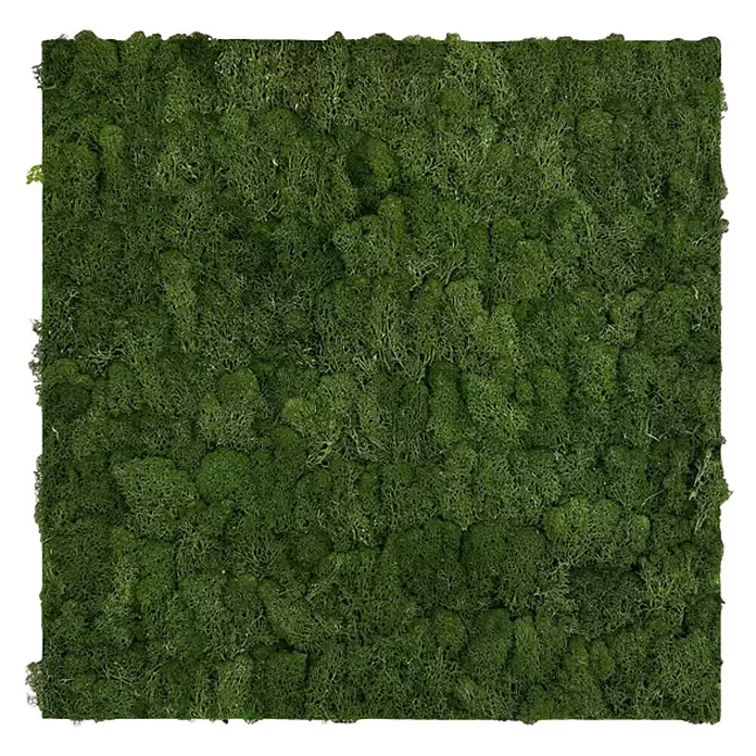 Jangal Wandpaneel Modular Wall Moos - Dark Green, 520 x 520 x 30 mm - Quadratische Matte aus dichtem, dunkelgrünem Moos für dekorative Wandverkleidungen oder biophiles Design.