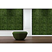 Jangal Wandpaneel Modular Wall Moos (Dark Green, 520 x 520 x 30 mm) | BAUHAUS