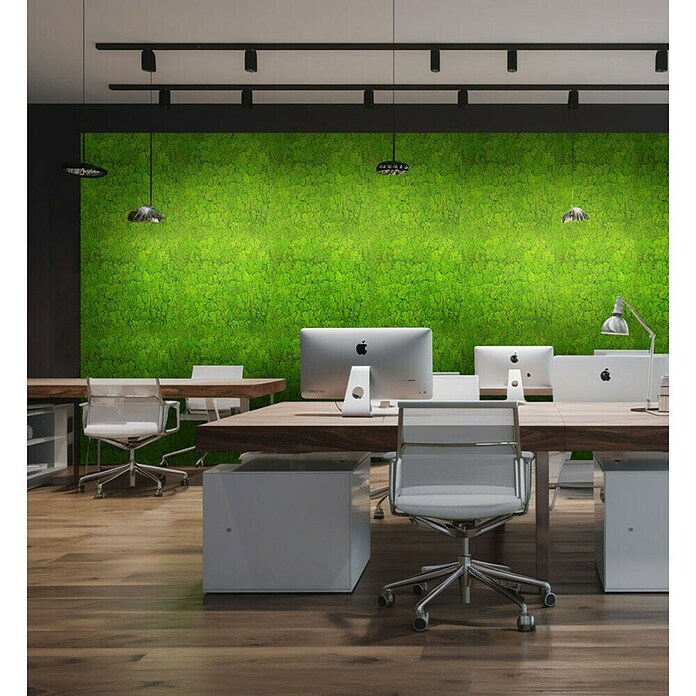 Jangal Wandpaneel Modular Wall Moos (Bright Green, 520 x 520 x 30 mm) | BAUHAUS