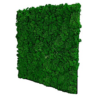 Jangal Wandpaneel Modular Wall Moos (Nature Green, 520 x 520 x 30 mm)