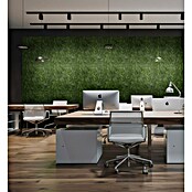 Jangal Wandpaneel Modular Wall Moos (Dark Green, 520 x 520 x 30 mm) | BAUHAUS