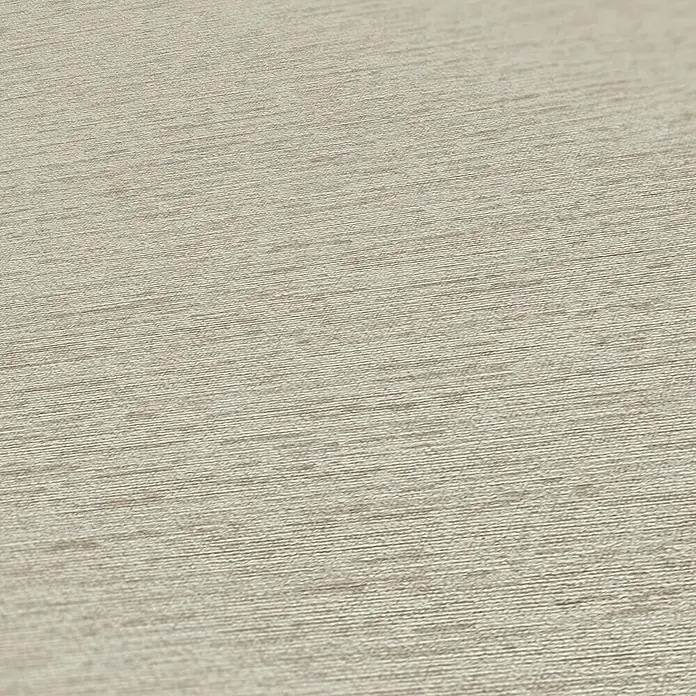 A.S. Création Famous Garden Vliestapete - Taupe, Uni, 10,05 x 0,53 m - Nahaufnahme einer beigefarbenen Textur, die eine feine, horizontale Maserung aufweist. Ideal für Hintergründe und Designelemente.
