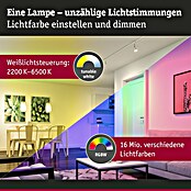 Paulmann Smart-LED-Lampe (E14, Dimmbar, RGBW, 470 lm, 5 W, Tropfen) | BAUHAUS